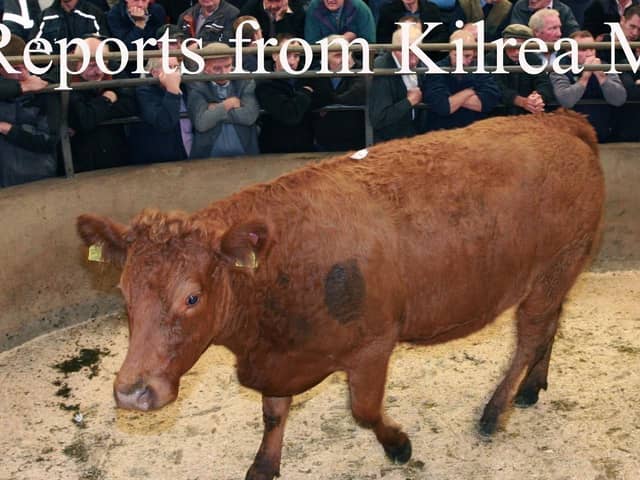 Kilrea Mart