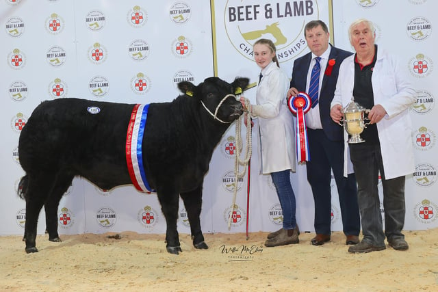 The Ulster Housewife’s Champion at the fifth Royal Ulster Premier Beef & Lamb Championships was awarded to Robert Miller from Moneymore. On the night they were presented the Housewife Choice Cup with Dashing Princess. Pictured (L-R) Molly Bradley, Andrew Burleigh (Judge) and Robert Miller. On the night the Ulster Housewife’s Champion sold for £3000 and was bought by Garry Jennings from the Mayfly Restaurant, Kesh.