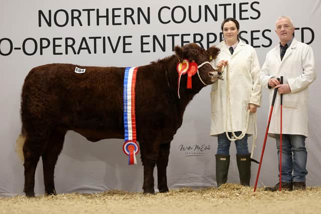Overall Champion Drumlegagh Venus from J. & E.A. Elliott 4400gns