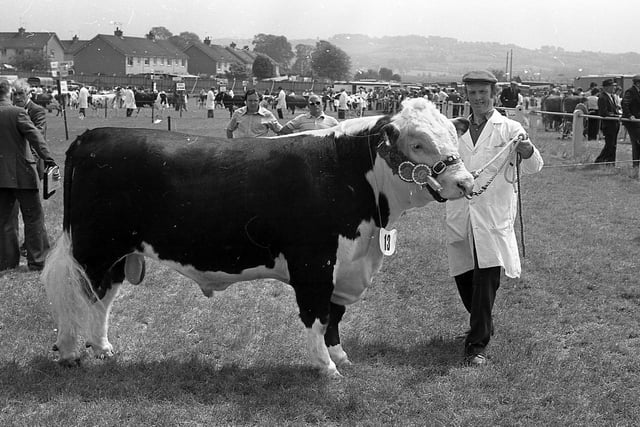 Mr Ivan Haire from Dundrod with the Hereford champion bull, which won the News Letter Cup at the Ballymena Show in June 1982. Picture: Farming Life/News Letter archives