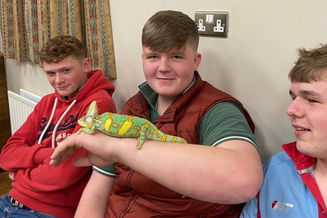 Bleary YFC recently welcomed Jurassic Ark Encounters to a club meeting, pictured is Johnny Anderson. Picture: Submitted