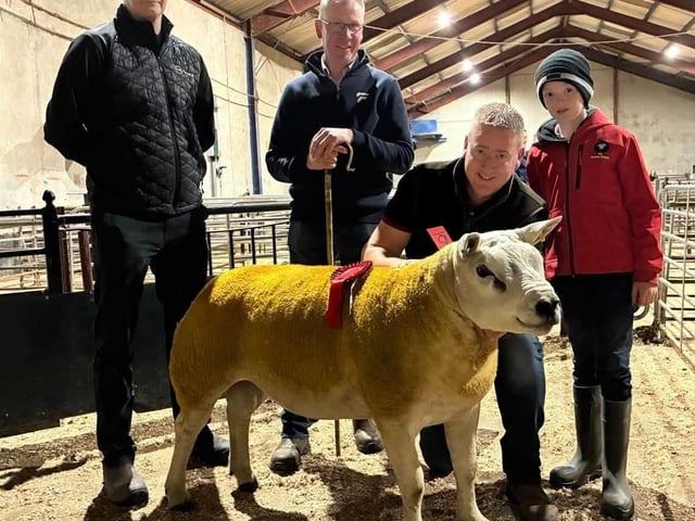 Stephan Etherson and son accept the first-place rosette from judge Jonathon McKinney and sponsor CVS Vets for their Killans exhibit at the pre-sale show of Texel sheep at Draperstown recently.