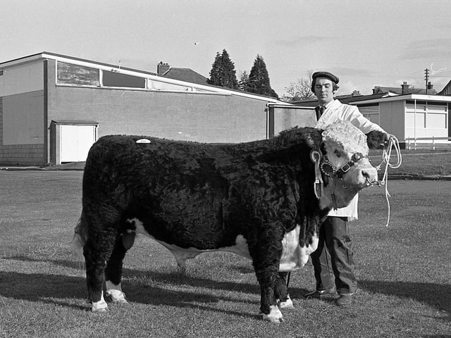 This collection of old photos is from 1981.