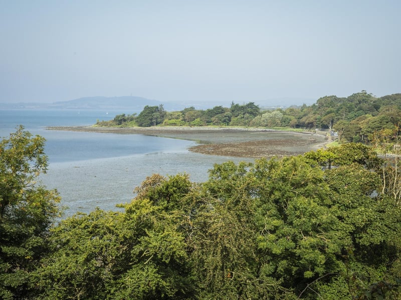 A view from the Temple of the Wind across to the sea plantation. This area of trees is used as a buffer to protect the garden at Mount Stewart. Credit National Trust Images, James Dobson
