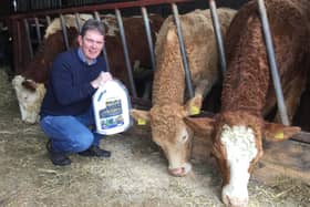 Paul O'Hare, from Mayobridge in South Co Down with weanlings that were drenched with Liquid Gold Cattle earlier this week