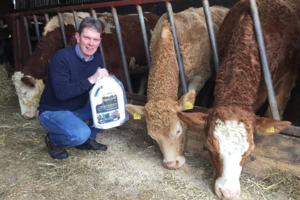 Paul O'Hare, from Mayobridge in South Co Down with weanlings that were drenched with Liquid Gold Cattle earlier this week