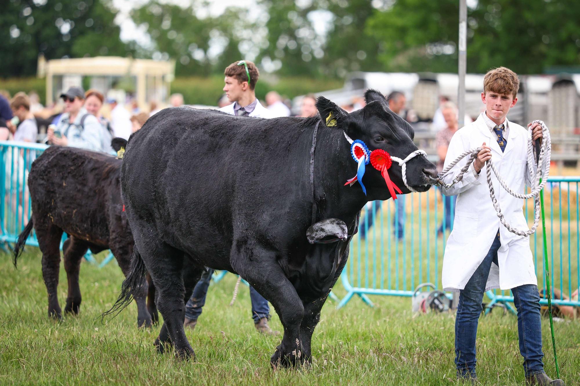 Award win for agricultural show after successful comeback