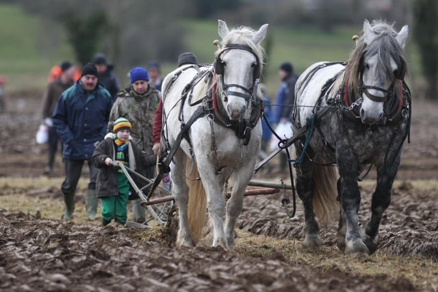 Starting young at the Mullahead Ploughing match. Picture Steven McAuley/Kevin McAuley Photography Multimedia