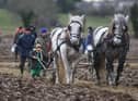 Starting young at the Mullahead Ploughing match. Picture Steven McAuley/Kevin McAuley Photography Multimedia