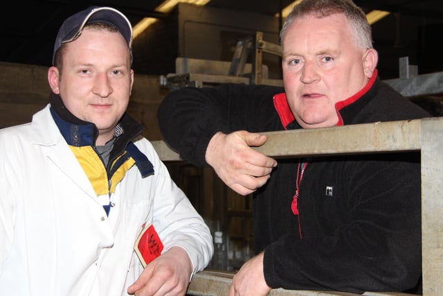 Jonny Hazelton and Davy Anderson, Dungannon, pictured at the NI Simmental Club's spring show and sale. Picture: Julie Hazelton