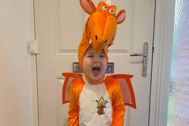 Erin Mallows, age four, dressed up as her favourite book character Zog.