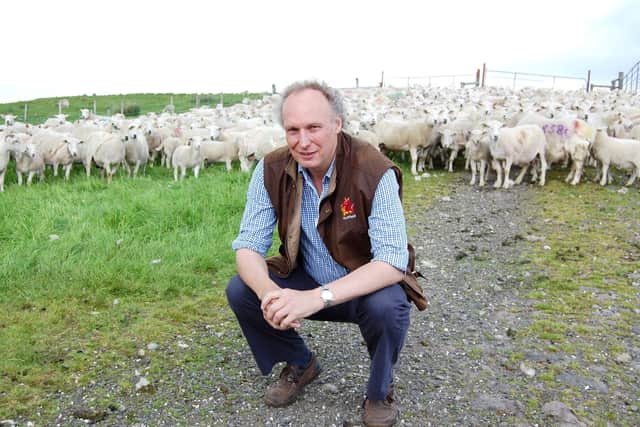 EasyCare sheep breeder Campbell Tweed.