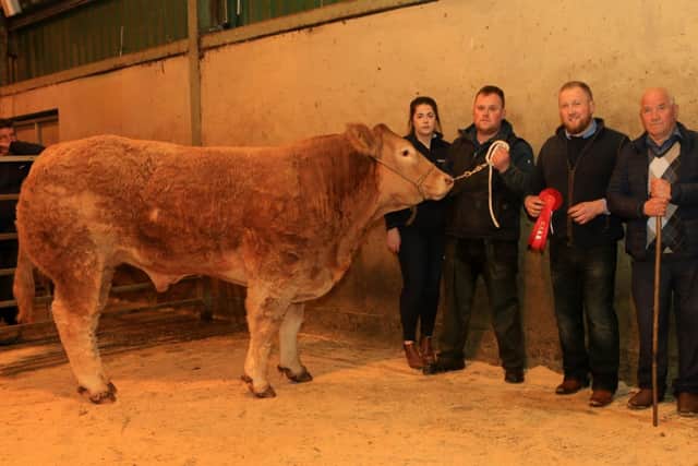 First place in the beef bullock class exhibited by Niall Doyle pictured with Chelsea Turley, judge Eamon McGarry and mart manager John Farnon