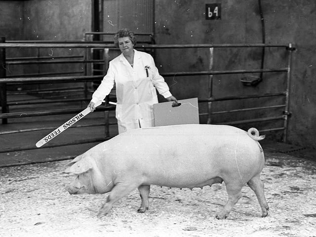 This collection of old photos is from 1981.