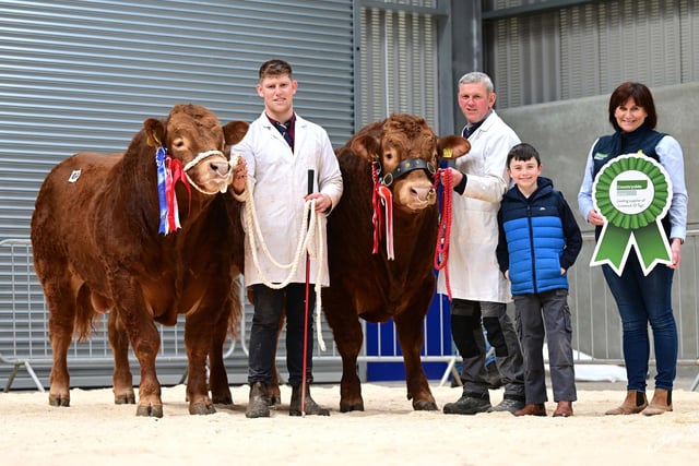 Supreme overall champion was Eniver Toby shown by Michael and Kian McKeefry; with Mark Reid who exhibited the reserve champion Aghadolgan Tiger bred by Raymond Savage. Included is Diane Henry, Countryside Services, sponsor. Picture: Agri-Images