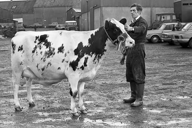 Pictured in December 1981 is Sydney Galbraith with the Ayrshire pedigree supreme champion heifer of Sam McCaw, Coleraine, which made second highest price of 880 guineas at the Ulster Ayrshire Cattle Club’s annual show and sale in McClelland’s Livestock Mart, Ballyclare. Picture: News Letter archives/Darryl Armitage