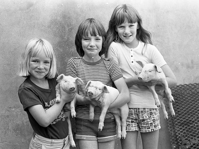 This collection of old photos is from 1981.