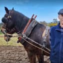 Lindsay Hanna from Saintfield was on hand at at the Ulster Folk and Transport Museum at Cultra, Holywood during the museum's annual Country Skills Day to showcase horse ploughing. Picture: Darryl Armitage