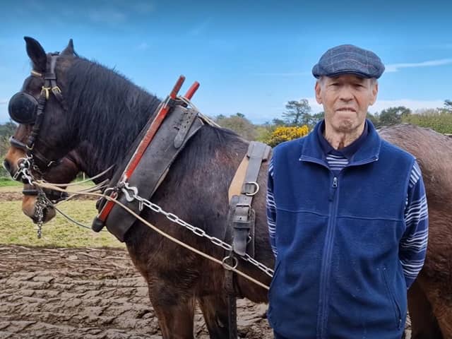 Lindsay Hanna from Saintfield was on hand at at the Ulster Folk and Transport Museum at Cultra, Holywood during the museum's annual Country Skills Day to showcase horse ploughing. Picture: Darryl Armitage
