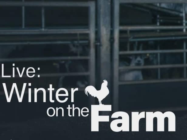 'Winter on the Farm' returns to Channel 5 at 8pm on Monday night. Image: My5