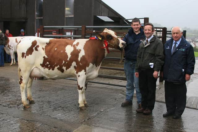 Pictured at the end of September 2008 are Sam Wardsworth representing John Sufferin, champion, with judge Alan McCaw and sponsor Jackie Fall, Thompsons, at the Ayrshire show at Kilrea Mart. Picture: Kevin McAuley