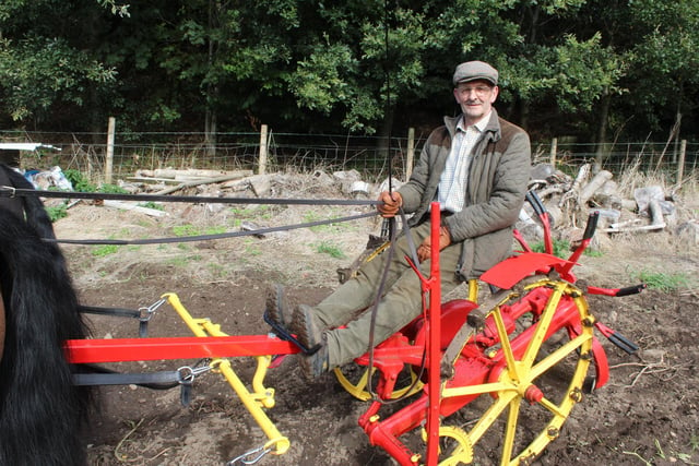 Mervyn Aard gets ready to dig the potatoes at the Ballyward Vintage Day