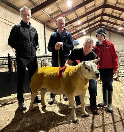 Stephan Etherson and son accept the first-place rosette from judge Jonathon McKinney and sponsor CVS Vets for their Killans exhibit at the pre-sale show of Texel sheep at Draperstown recently.