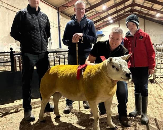 Stephan Etherson and son accept the first-place rosette from judge Jonathon McKinney and sponsor CVS Vets for their Killans exhibit at the pre-sale show of Texel sheep at Draperstown recently.