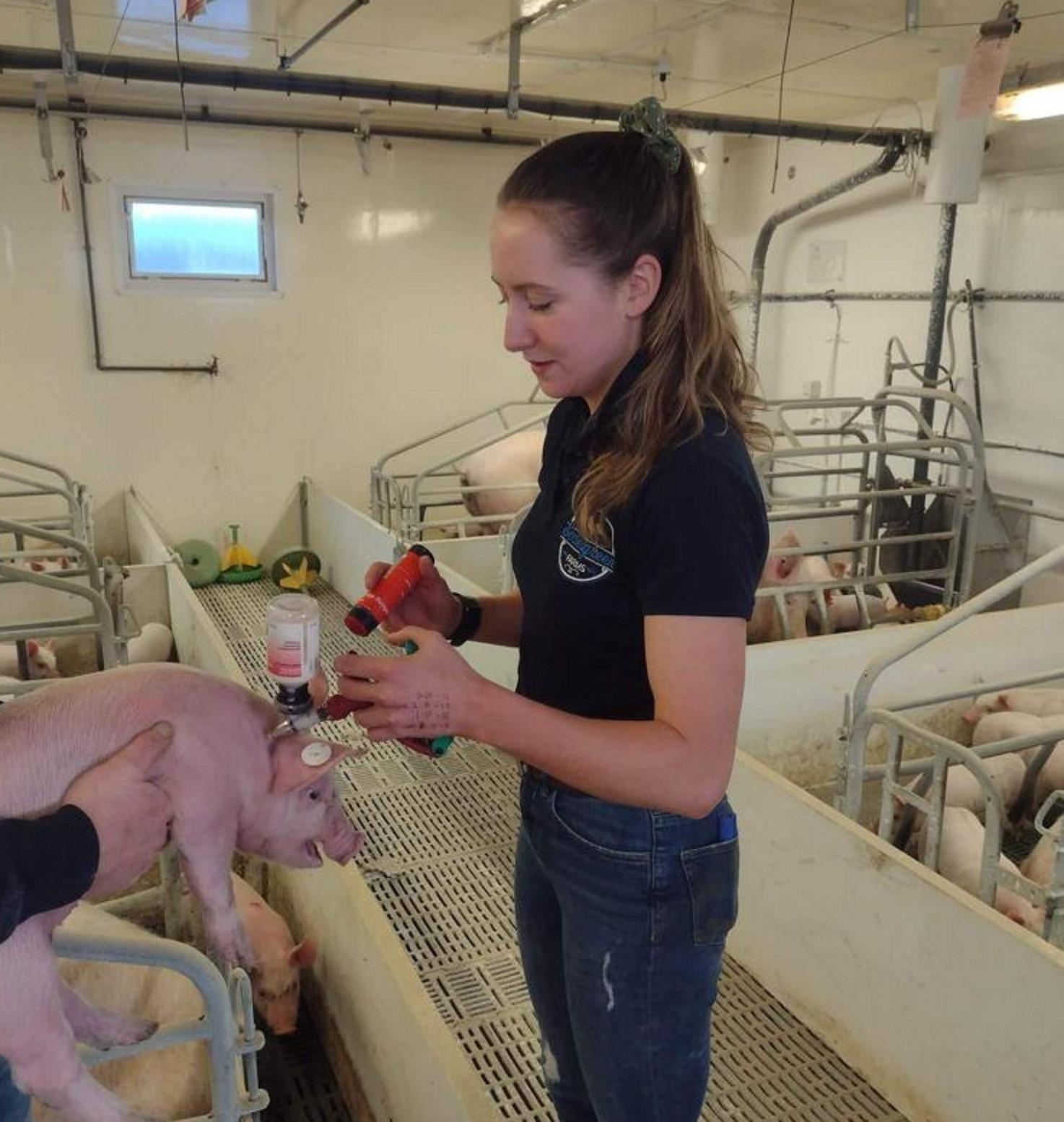 Total transformation on Tyrone pig farm
