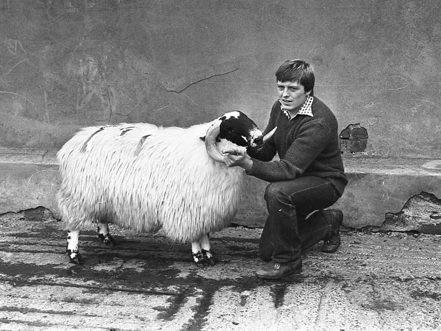 This collection of old photos is from 1981.