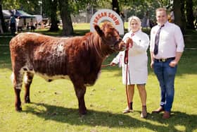 Rachel Jordan, from Waringstown, and judge Sam Martin, with her Beef Shorthorn breed champion. Picture: Cliff Donaldson
