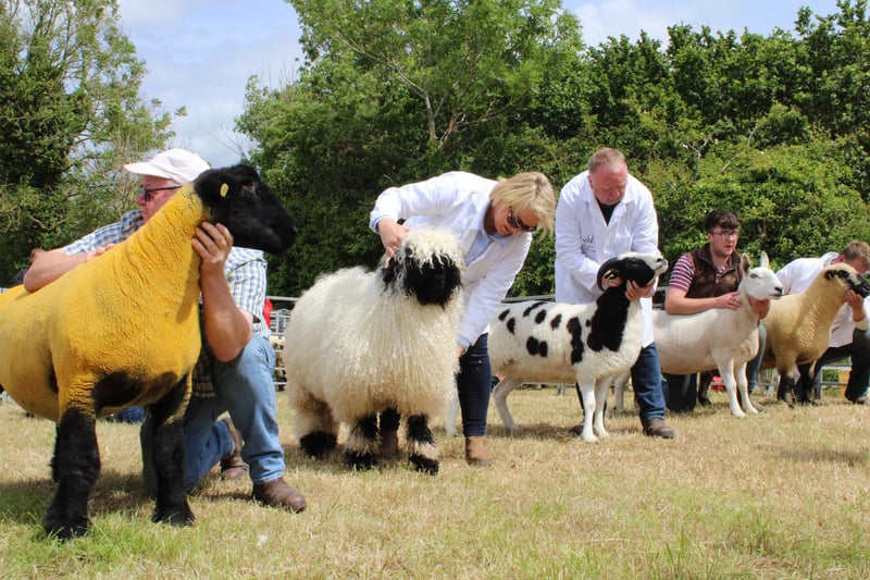 The date for this year's Saintfield Show is Saturday 17 June.