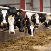 The majority of dairy farmers  are facing into a fodder shortage