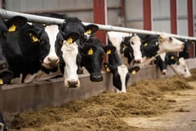 The majority of dairy farmers  are facing into a fodder shortage