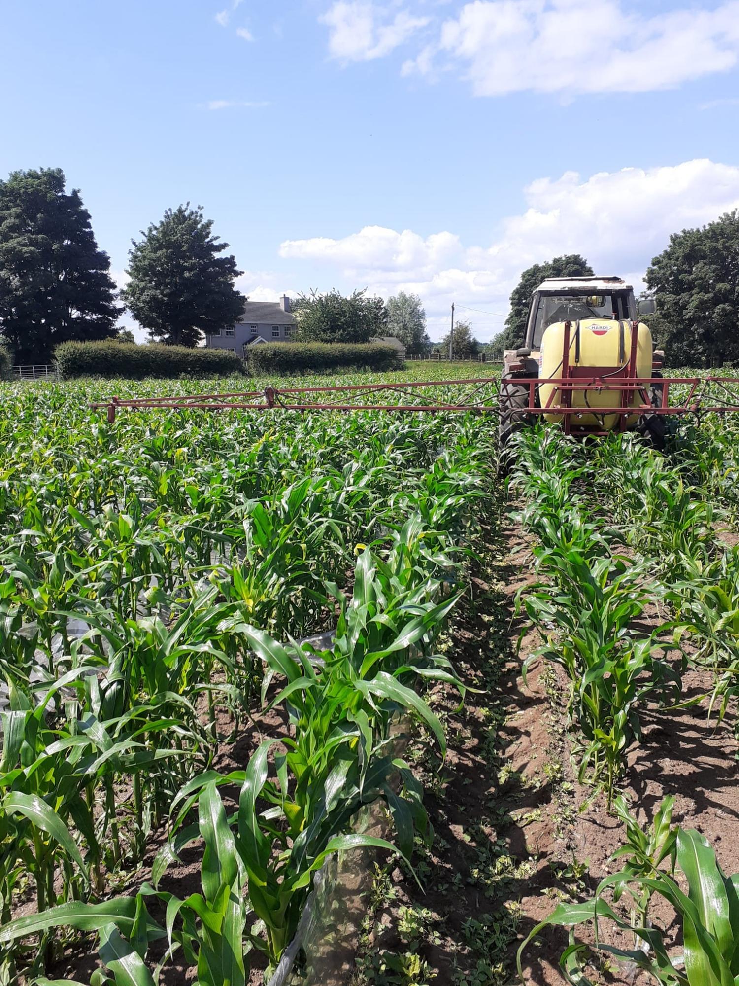 Arable crop management: the contents of the chemical toolbox are fast ...