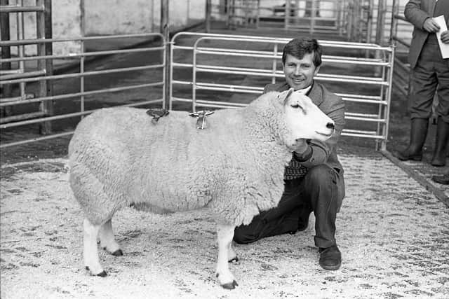 Texel pedigree sheep were in brisk demand at the breed show and sale which was held at Automart, Portadown, in October 1981. The top price of 570gns was paid for an outstanding ewe, which was supreme champion for Jim Scott Jnr, Killyleagh. Mr Scott is pictured here with the Texel supreme champion. Picture: Farming Life archives/Darryl Armitage