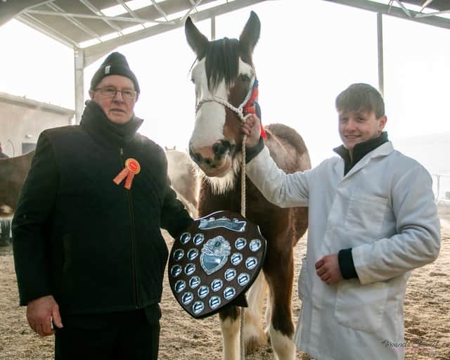 Young handler winner Edward Leverett with Judge Tony Bull (Picture courtesy of Amanda Stewart Photography)