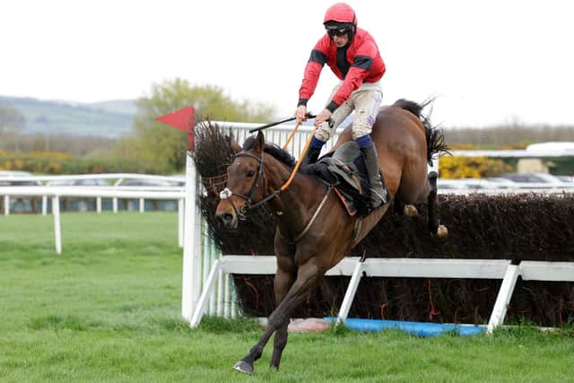 Dreal Deal ridden by Simon Torrens wins the 5th race. (Photo by Kelvin Boyes/Press Eye)