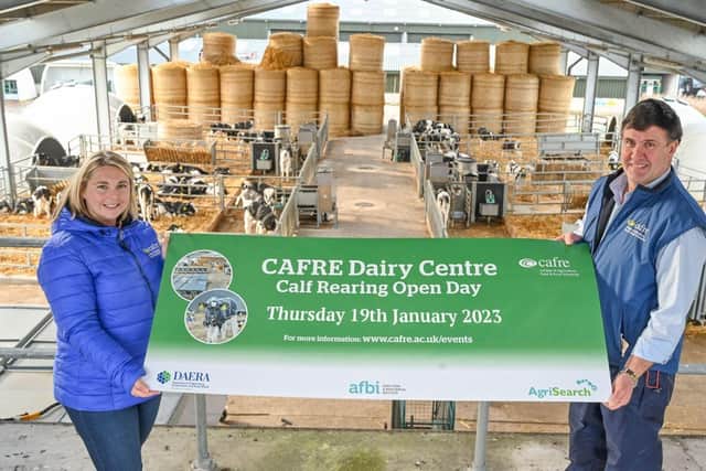 Calf Rearing Open Days. (Pic: CAFRE)