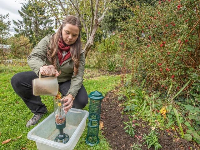 Hanging a bird feeder in advance of taking part in Big Garden Birdwatch, Sussex