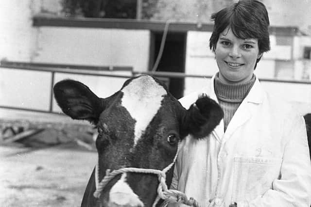 Mrs Deirdre McDowell of Lisnabreeny Road, Castlereagh, Belfast, pictured in January 1983 with one of her husband’s his prize Friesian heifers at a breed show and sale which was held at Banbridge by the NI Friesian Breeders Club. Picture: Farming Life/News Letter archives