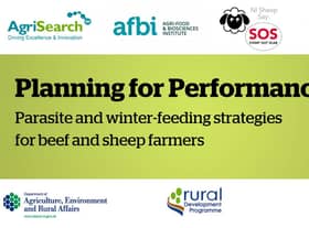 CAFRE, in partnership with Agrisearch, AFBI and NI Sheep SOS initiative (Stamp out Scab) will be hosting two events looking at parasite and winter feeding strategies for beef and sheep farmers this winter.