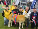 Millar Family Champion Texel with Jamie from ABP at The Royal Ulster Agricultural Society (RUAS) Balmoral Show held in partnership with Ulster Bank.