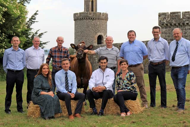 Pictured are sponsors and directors of the Randox Antrim Show’s Dairy section (back, l-r) Peter Whiteside and Seamus McCormick, Danske Bank; Trevor Smith; John Suffern with his Ayrshire; Alan Boyd, United Feeds; Phillip Moore, Moores Animal Feeds; Matthew Cunning, Fane Valley; (front) Jordan Doherty, Randox Health; Ryan Godfrey, Fane Valley; Marc Coppez, Randox Health; and Sarah McCoy, Ulster Bank. Photo: Julie Hazelton.