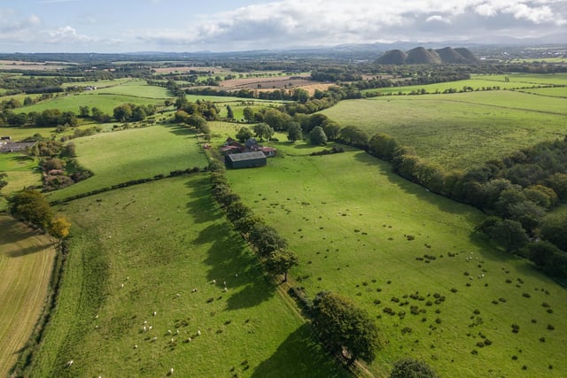 Gardener’s Hall and Grove Mount is a compact farm with a traditional farmhouse which requires modernisation, a modern hay shed, and a productive block of farmland used for grazing and fodder production. (Pic: Galbraith)