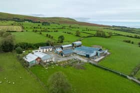 An overview of the farm for sale at Lower Ballyboley Road, Kilwaughter. (Pic: J.A. McClelland & Sons)