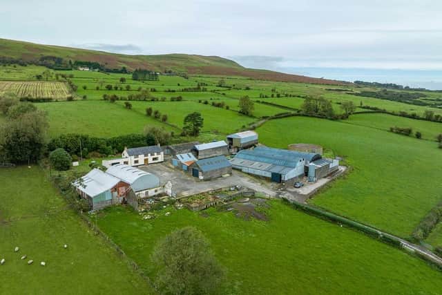 An overview of the farm for sale at Lower Ballyboley Road, Kilwaughter. (Pic: J.A. McClelland & Sons)