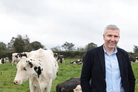 Dairy Council for Northern Ireland CEO Ian Stevenson