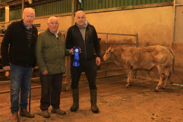 Judge Colin Reid with Hilltown mart manager, John Farnon and second place in the weanlings Patrick McConville at the mart's spring show and sale on Saturday 22nd April. The sale saw fat cows sell to £2200, heifers to £2000 and bullocks to £2200