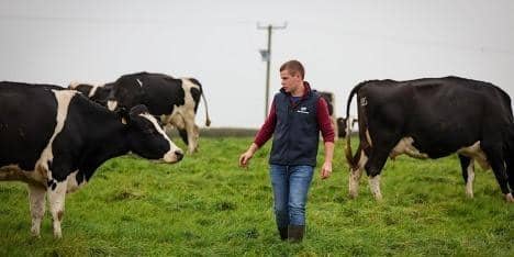 The Royal Countryside Fund (RCF) is delighted to be running its 2023 Farm Resilience Programme in Northern Ireland this autumn.